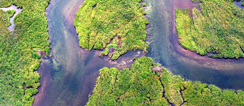 Congo River.