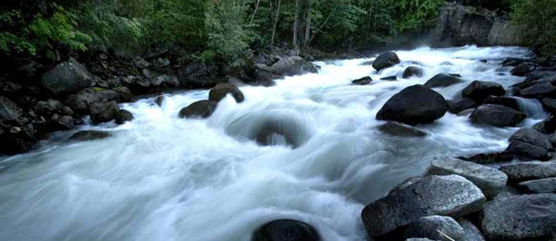 Stream flowing over rocks through a forest.