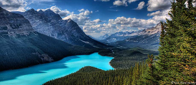 Peyto Lake in Banff.