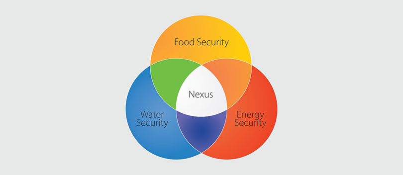 Venn diagram of food, water and energy.