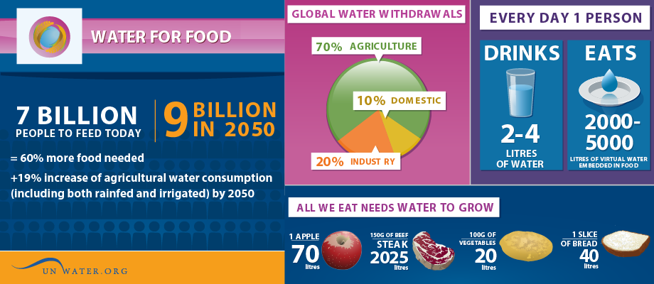 Water For Food, Global Water Withdrawals Graphic.