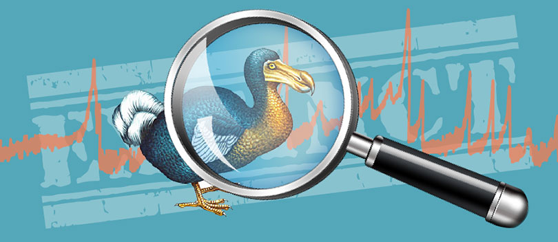 Magnifying glass on a Dodo bird, an extinct species.
