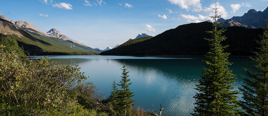 The Need for Better Monitoring to Protect Canada’s Freshwater Resources Thumbnail