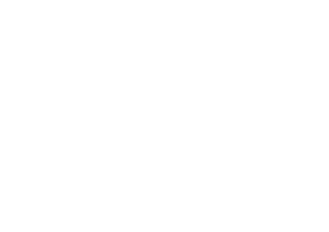 White Pearland Logo png