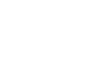 City of Winston-Salem white logo png