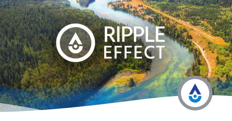 Ripple Effect (2021) Thumbnail